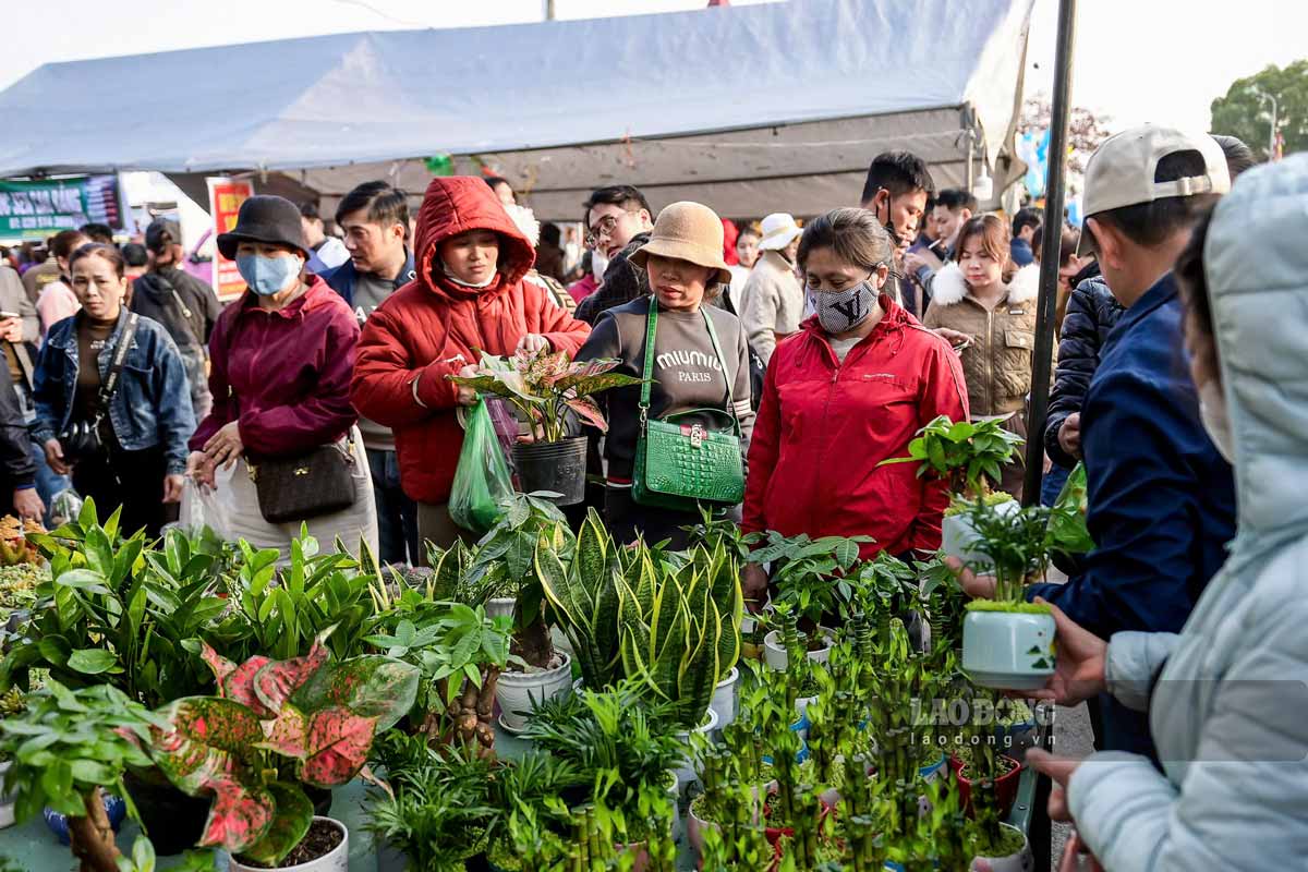 People "buy good luck, sell bad luck" at Vieng market. Photo: Luong Ha