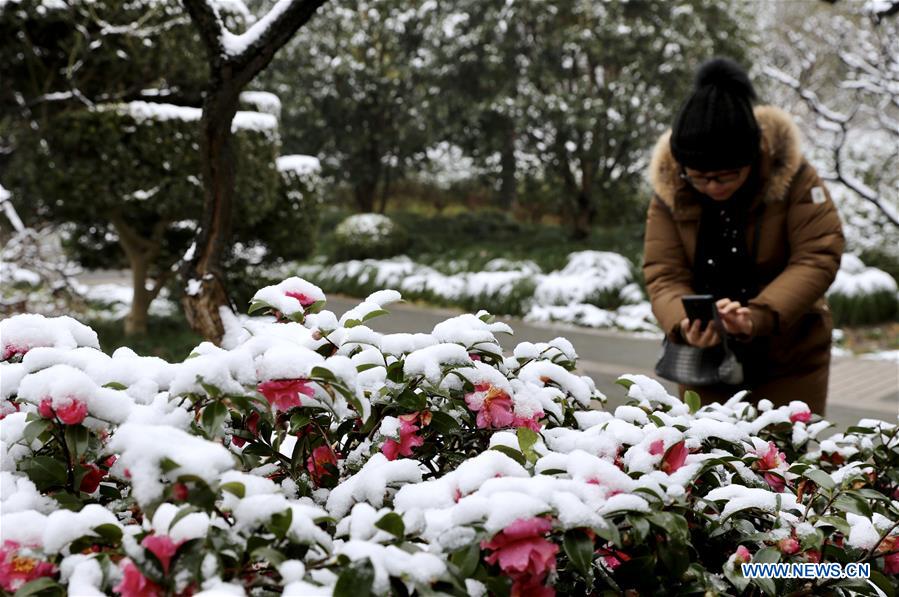 Before this strong cold air mass caused snowfall, Shanghai recorded heavy snowfall in January 2018. Photo: Xinhua