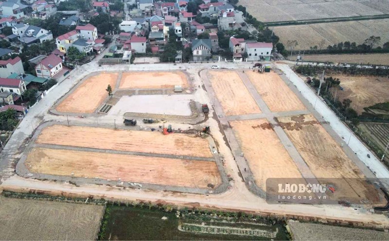 Land auction increases sanctions, experts believe speculation is not rooted in