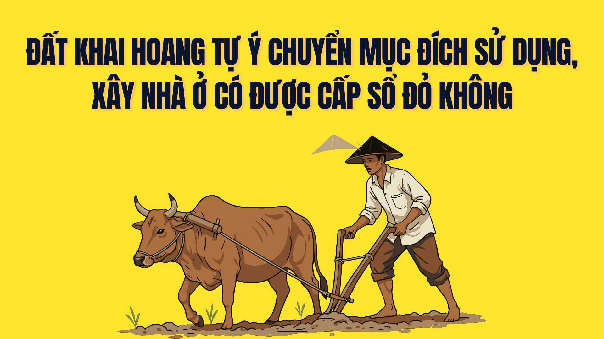 開墾された土地が勝手に使用目的を変更し、住宅を建設した場合、レッドブック(土地使用権証明書)が発行されますか?グラフィック:チャ・ミー