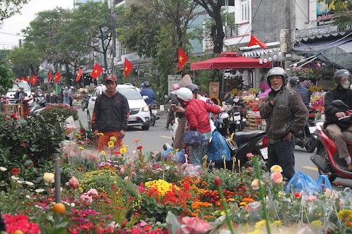 Binh Ngo Tet flower market 2026 in Da Nang has a scale of 277 lots. Photo: My Linh