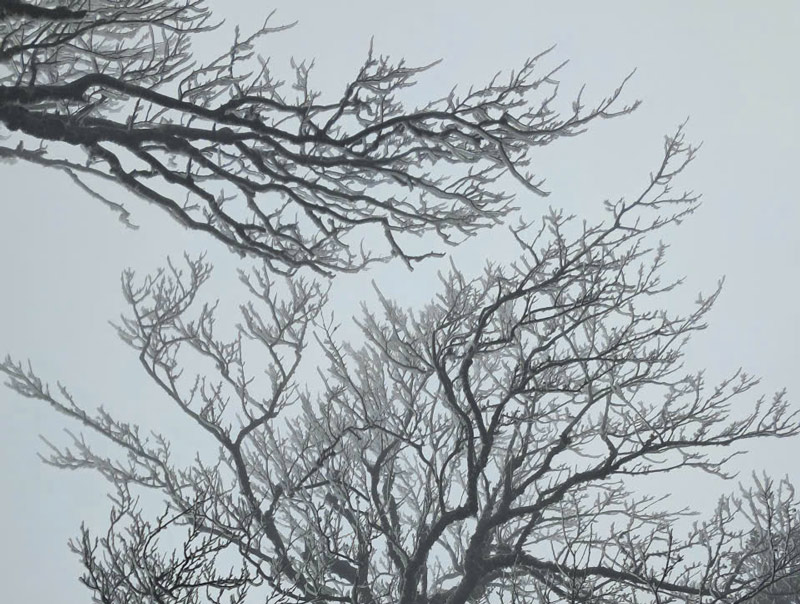 Welcoming cold air, the weather in the North is generally severely cold, mountainous areas in some places are severely cold, high mountains are forecast to be likely to freeze. Photo: Van Tan