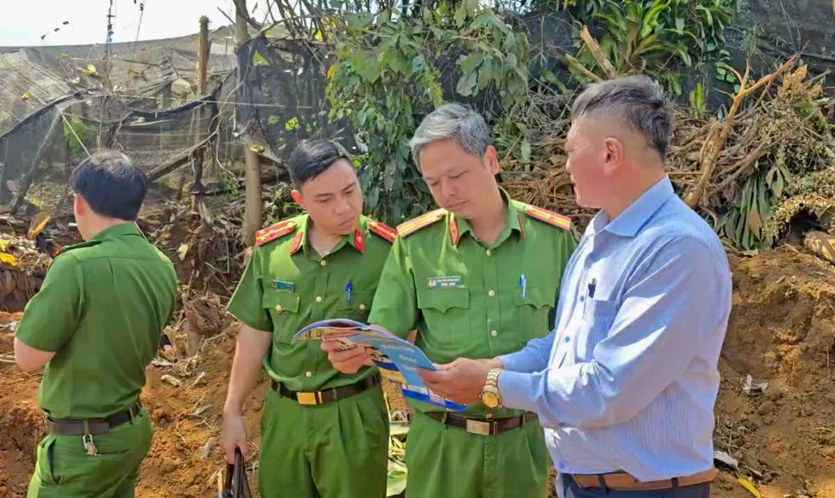 Clarifying the case of many pollen trees being dug up in Lam Dong