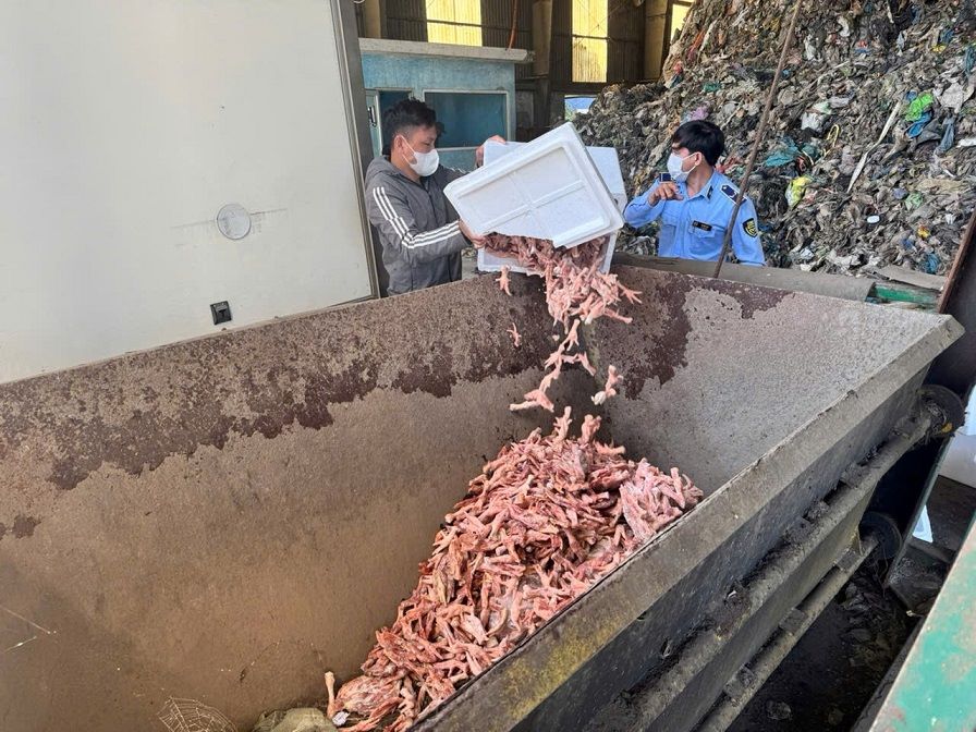 Quang Ngai Provincial Market Management Sub-Department destroys chicken feet of unknown origin. Photo: Le Van Vu