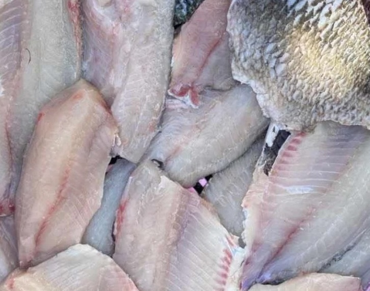 Tilapia is a protein supplement suitable for workers in many industries. Photo: Kieu Vu