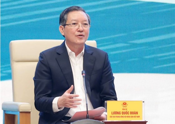 Dong chi Luong Quoc Doan, Uy vien Trung uong Dang, Chu tich Ban Chap hanh Trung uong Hoi Nong dan Viet Nam cho biet: Trong 5 nam gan day, so ho co thu nhap tren 1 ty dong/nam tang gap 2 lan so voi giai doan 5 nam truoc. Nhieu nong dan co doanh thu hang chuc ty dong, dan hinh thanh sac thai lop nguoi nong dan chuyen nghiep. Anh: DV