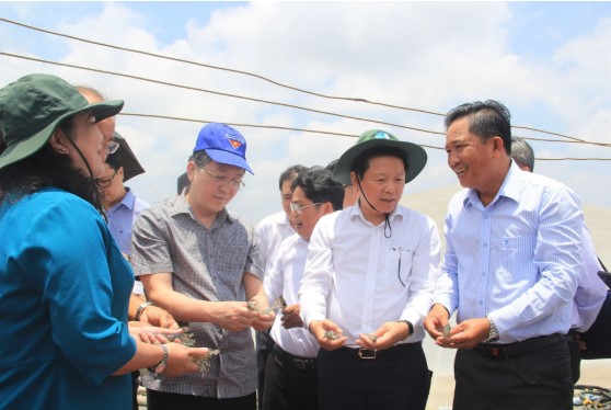 Chu tich Hoi Nong dan Viet Nam Luong Quoc Doan tham mo hinh nuoi tom cong nghe cao cua Cau lac bo ty phu nong dan tinh Vinh Long. Anh: Huynh Xay