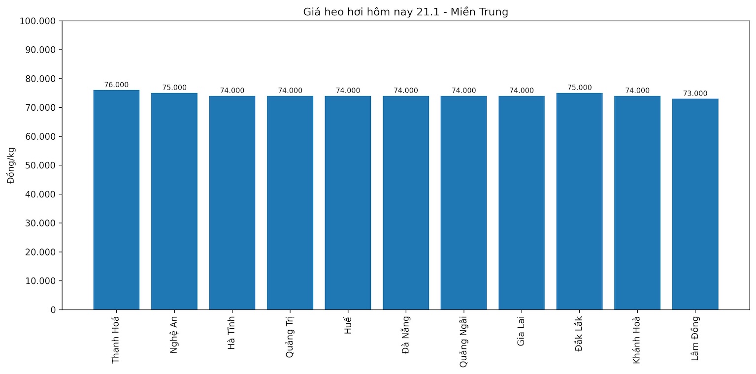 Gia heo hoi hom nay 21.1 tai khu vuc mien Trung. Do hoa: Thuy Linh