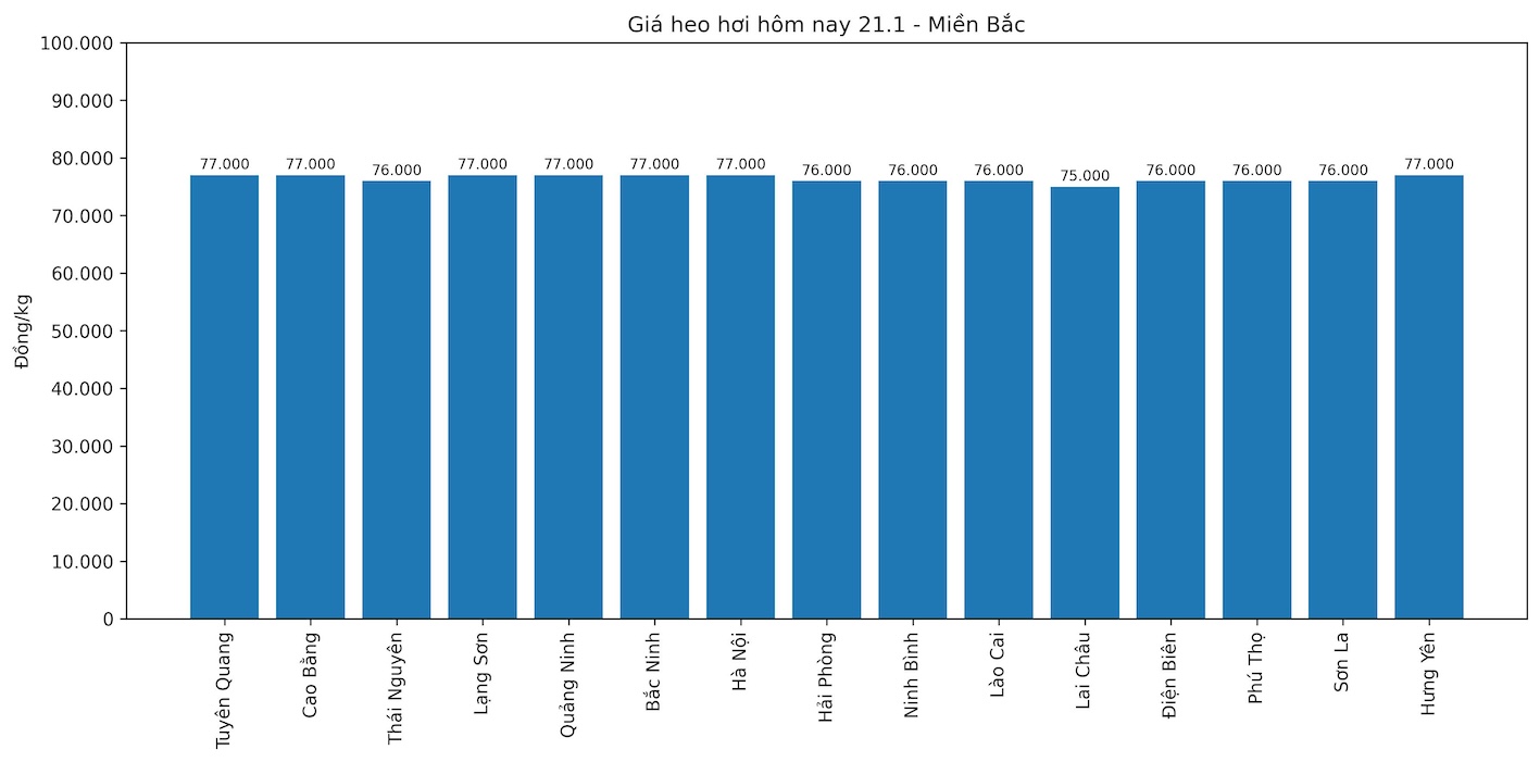 Gia heo hoi hom nay 21.1 tai khu vuc mien Bac. Do hoa: Thuy Linh