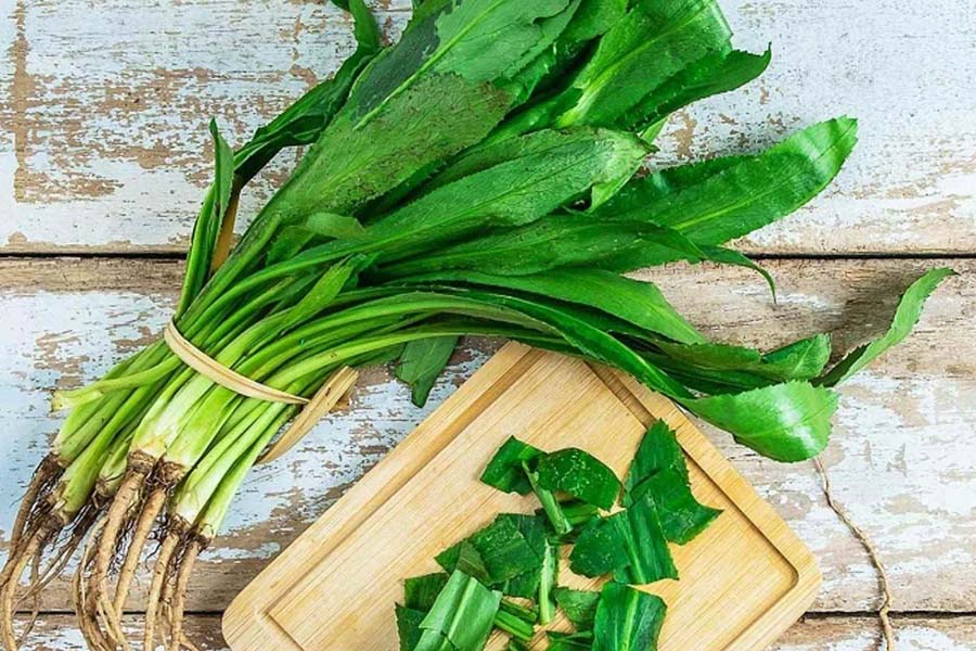 Coriander supports digestion, relieves colds, coughs extremely well