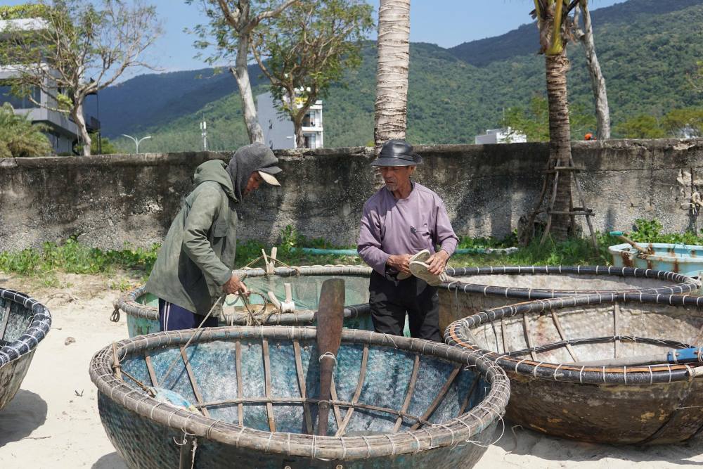 Lobster seeds are priced well, Da Nang fishermen go to sea from early morning to catch. Photo: Thanh Huyen
