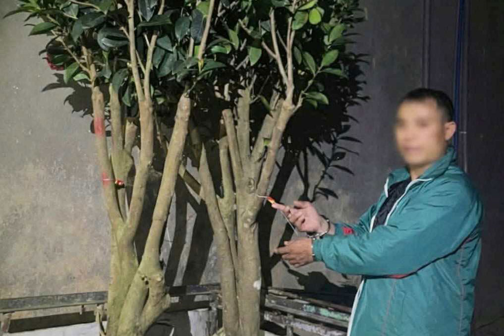 Đối tượng N cùng 2 cây hoa trà my do mình đột nhập lấy trộm được công an thu giữ. Ảnh: Công an cung cấp