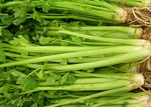 Celery is one of the green vegetables that can effectively support the elimination of uric acid. Photo: Kieu Vu