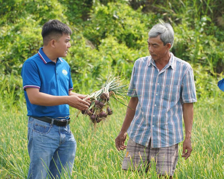 Hanh tim F1 Maserati (Ha Lan) duoc HTX Hanh tim Vinh Chau lien ket san xuat va bao tieu. Anh: Phuong Anh