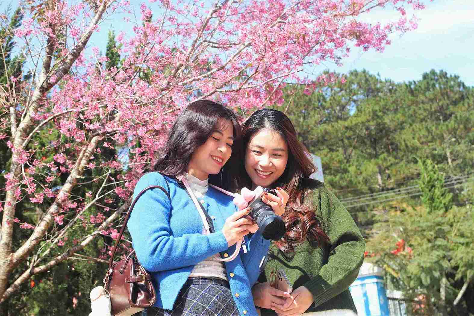 Thanks to cherry blossoms, in recent years, Dung K'Si village has increasingly attracted tourists and people to visit. Photo: Phuc Khanh