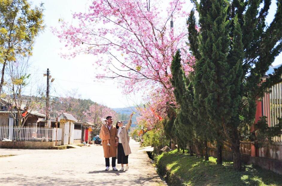 Mot gia dinh du khach tan huong hanh phuc khi den Dung K'Si thuong lam hoa mai anh dao dang no ro vao dip dau xuan nam 2026. Anh: Phuc Khanh 