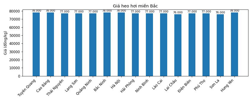 Gia heo hoi hom nay 22.1 tai khu vuc mien Bac. Do hoa: Thuy Linh