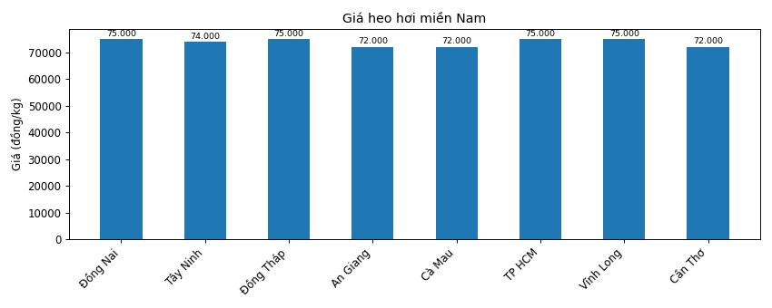 Gia heo hoi hom nay 22.1 tai khu vuc mien Nam. Do hoa: Thuy Linh