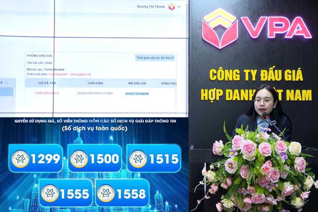 Launching an auction of telecommunications codes and numbers with a starting price of 1 billion VND per code