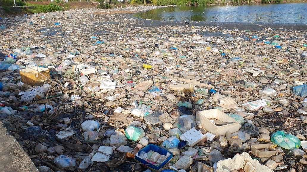 Rac day song khi cac cong ngan man tai Ca Mau dong lai de giu ngot. Anh: Nhat Ho.