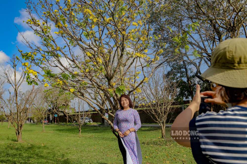 Du khach den Hue dip nay cung khong bo lo co hoi ghi lai khoanh khac dep ben vuon hoang mai duoc xem la “doc nhat” cua co do. 