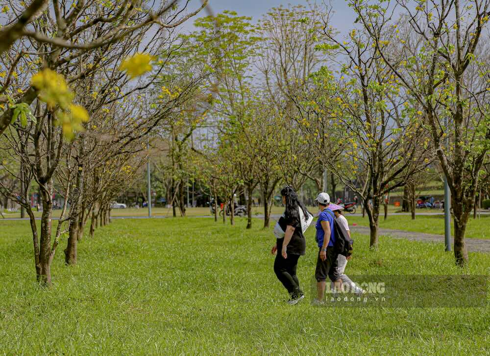 Nhung ngay dau hoa no, nhieu nguoi dan dia phuong tranh thu den dao buoc, tan huong khong khi xuan som giua khong gian di san.