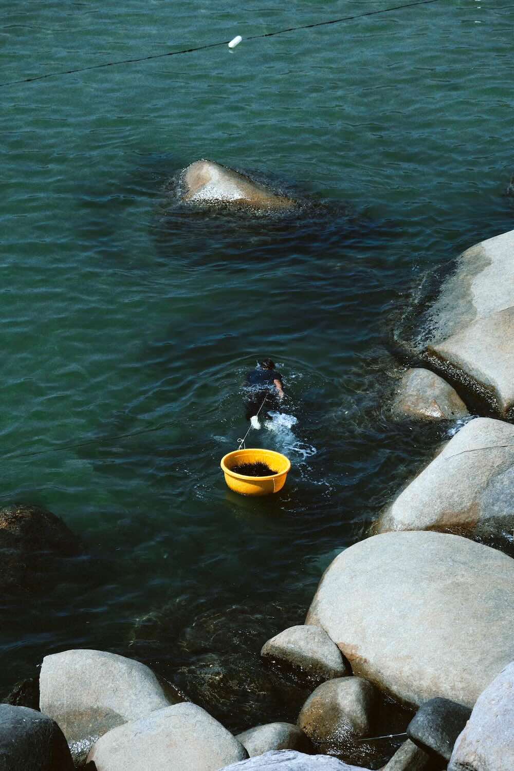 Hien nay, mot diem cong lon cho du lich Hon Son chinh la su chan chat, than thien cua nguoi dan dia phuong. Cac dich vu nhu cheo SUP, lan ngam san ho, bat nhum bien,...dang duoc nhieu ban tre yeu thich va lua chon.