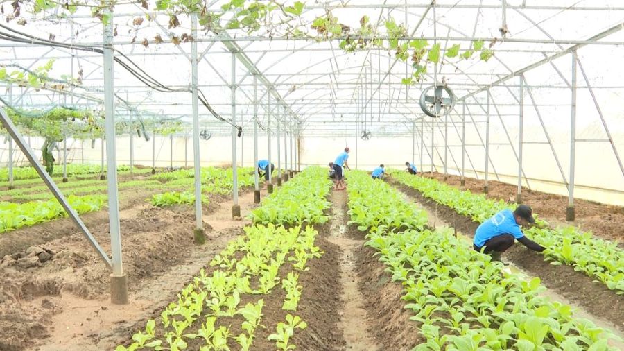 꽝찌성 공안은 재활 치료를 받는 사람들이 삶을 안정시키고 자신감을 갖고 삶을 다시 시작할 수 있도록 지원, 교육, 지원 장소를 마련합니다. 사진: 탄쭝