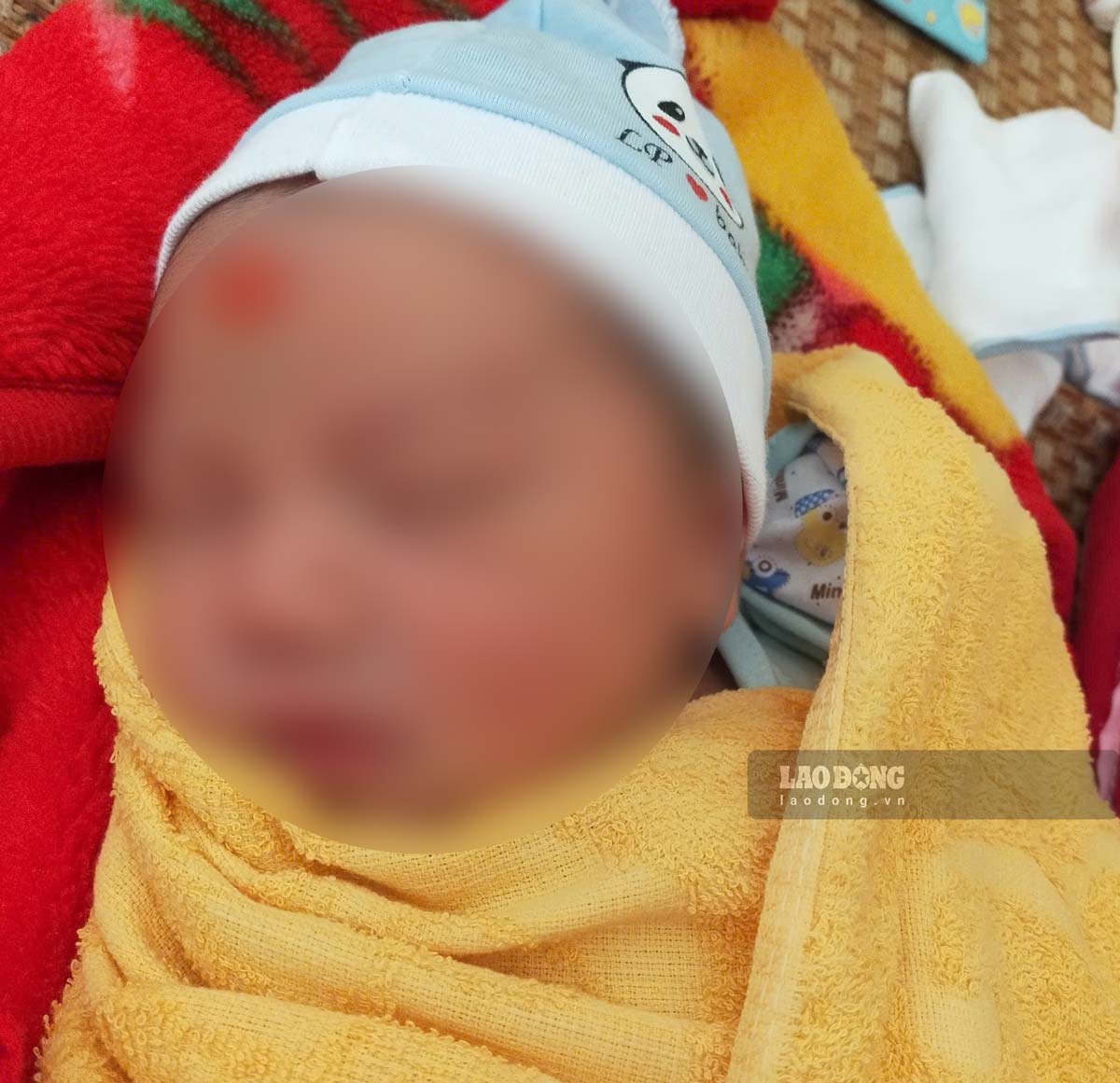 Nouveau-ne abandonne dans la commune de Binh Dinh, province de Hung Yen. Photo de : Ha Anh