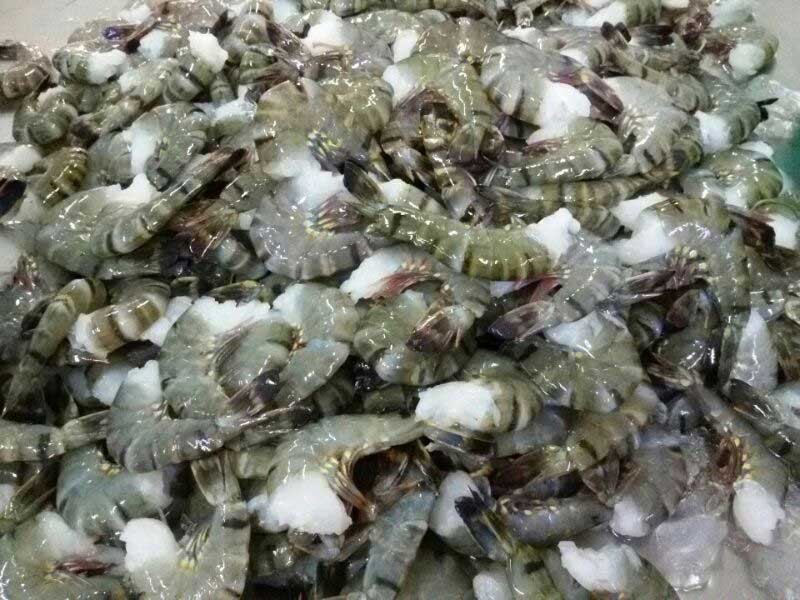 Hau het cac doanh nghiep deu khac phuc sau khi thanh tra chi ra sai pham trong linh vuc lao dong. Anh: Nhat Ho.