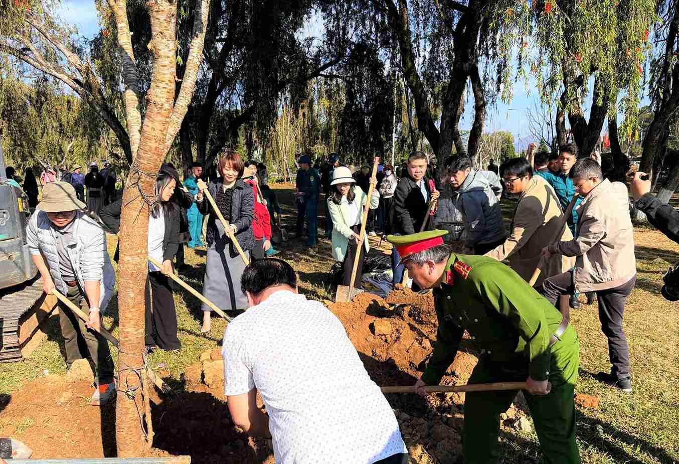 Vua co them hon 200 cay mai anh dao duoc trong moi tai trung tam Da Lat. Anh: Phuc Khanh 