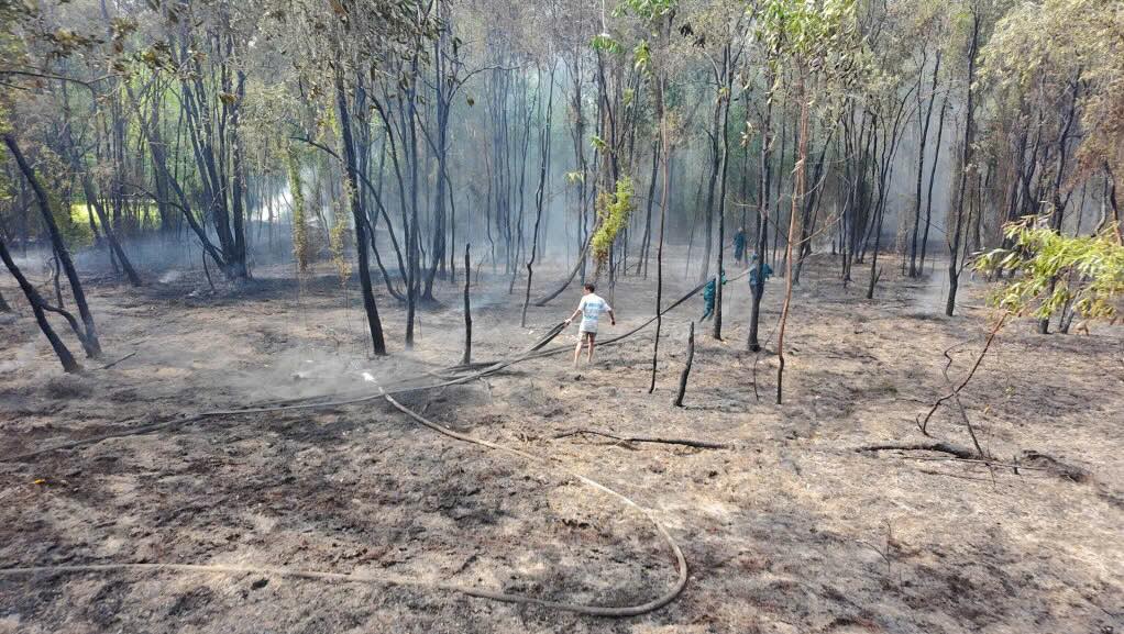 Mot vu chay rung tram xay ra tai xa Binh Thanh. Nguyen nhan ban dau do mot so doi tuong vao rung dot lua bat ong lay mat. Anh: Duy Minh