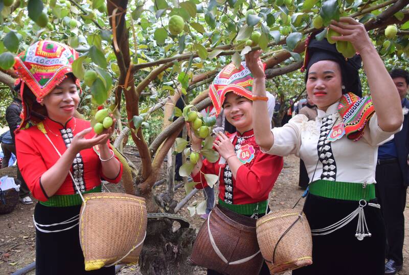 Phan thi hai tao tai vuon trong Ngay hoi. Anh: Nhat Minh