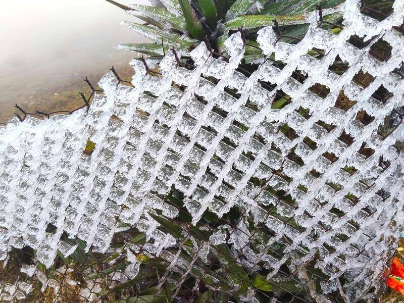 Bang tuyet o Mau Son ngay 22.1.2026. Anh: Khanh Linh