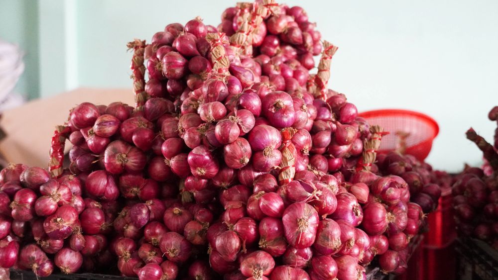 Nhung chum hanh tim duoc phan loai, dong goi phuc vu thi truong trong va ngoai tinh. Anh: Phuong Anh