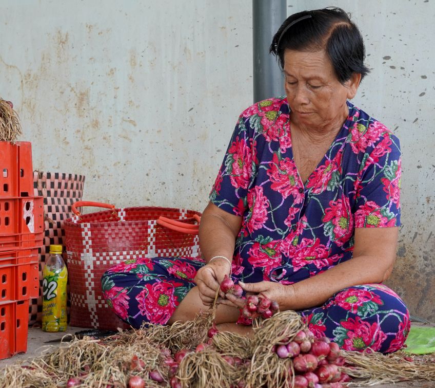 Ba Ly Thi Tuyet (72 tuoi, phuong Vinh Chau) gan bo voi cong viec bo hanh tim de co them thu nhap luc tuoi gia. Anh: Phuong Anh