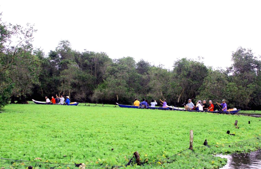 Mau xanh tai Rung tram Tra Su. Anh: Lam Dien