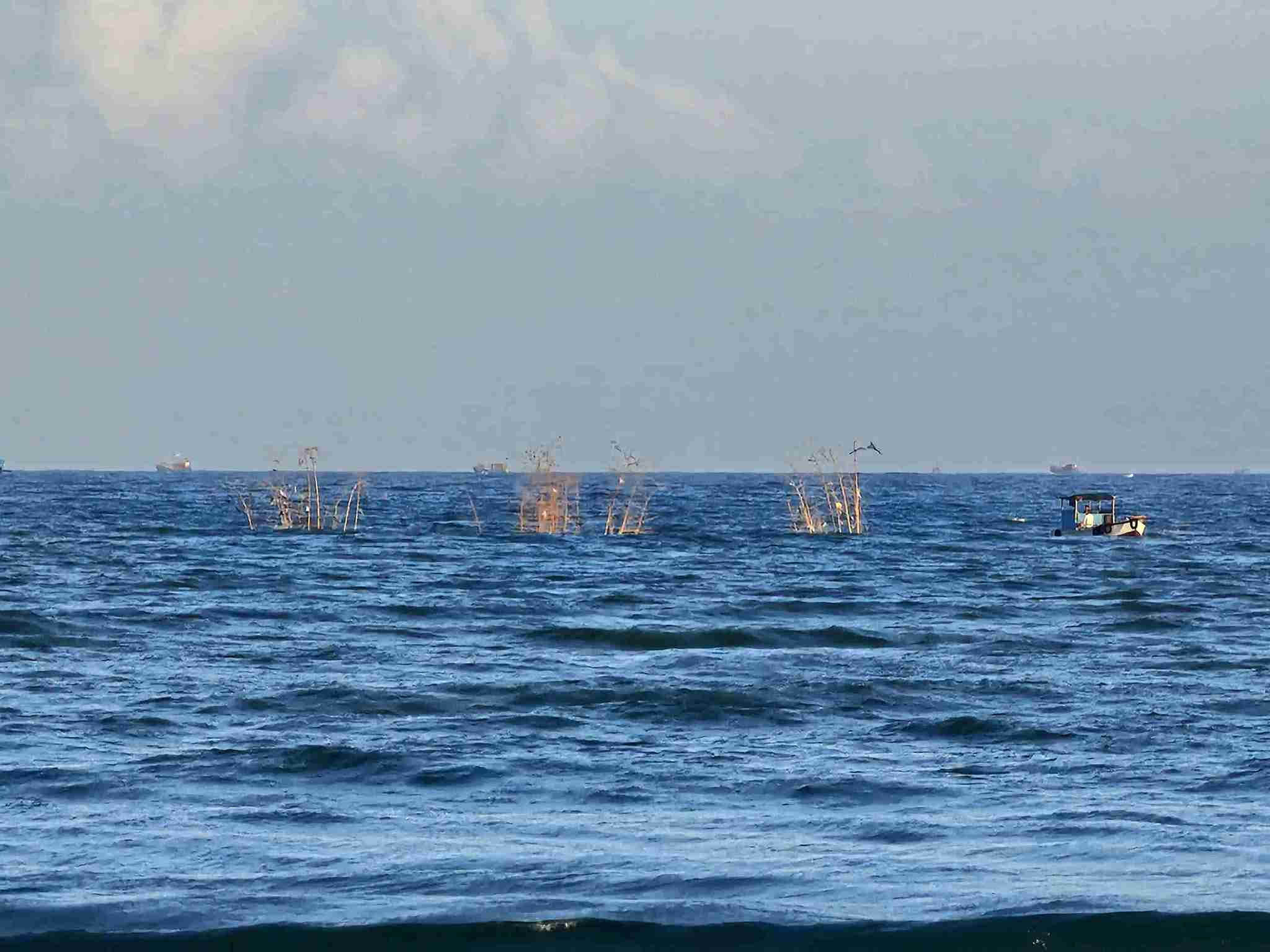 Hinh anh ghi lai canh cac bui tre dung cho vo giua bien, cach bo hon 1km. Anh: Huu Long