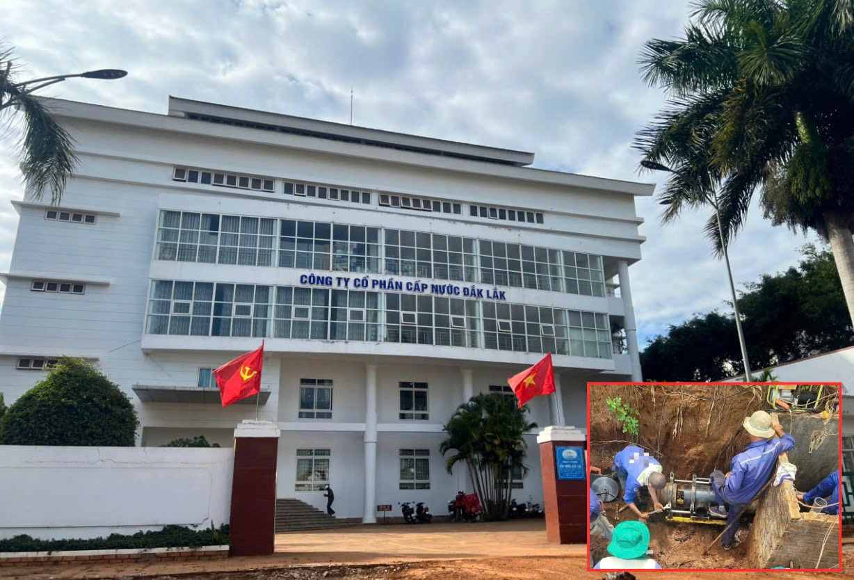 The Provincial People's Committee requests departments, branches, and functional units to intervene to thoroughly handle the inadequacies at Dakwaco, avoiding loss of state assets. Photo: Bao Trung