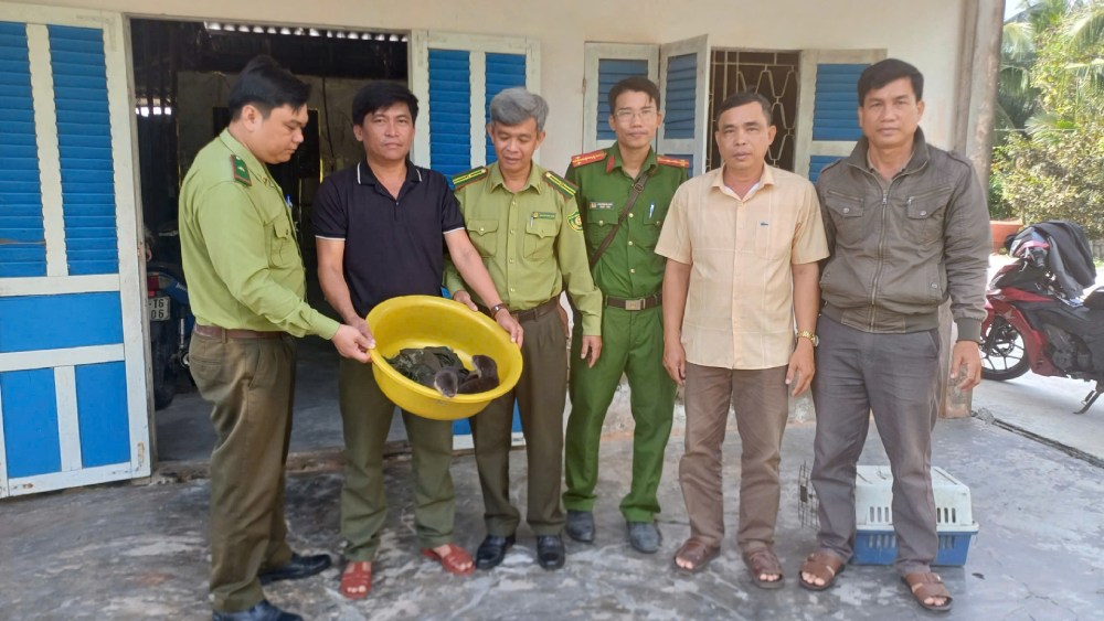 Les habitants ont decouvert et ont volontairement apporte 4 poissons-chats pour les remettre. Photo: Fournie par la police