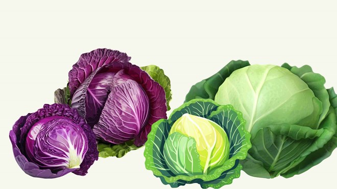 Eating cabbage in winter, what happens to the body. Photo: AI