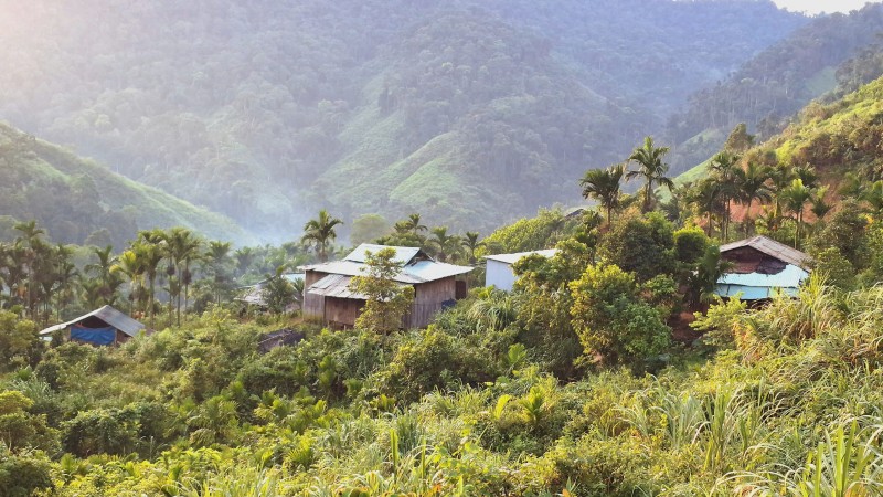 Mot giao vien tre mien nui Da Nang treo len cay de “hung song” dien thoai chap chon. Anh: Nguyen Hoang