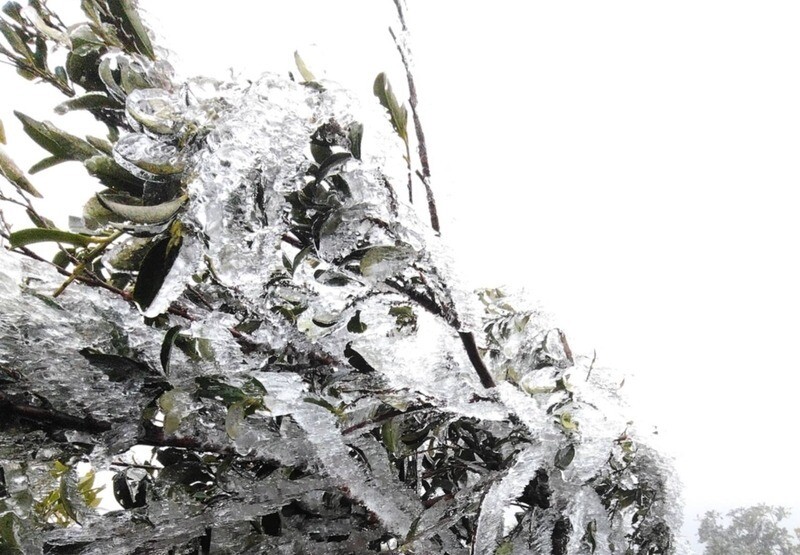 Cold weather still covers the northern mountainous provinces. Photo: Khanh Linh