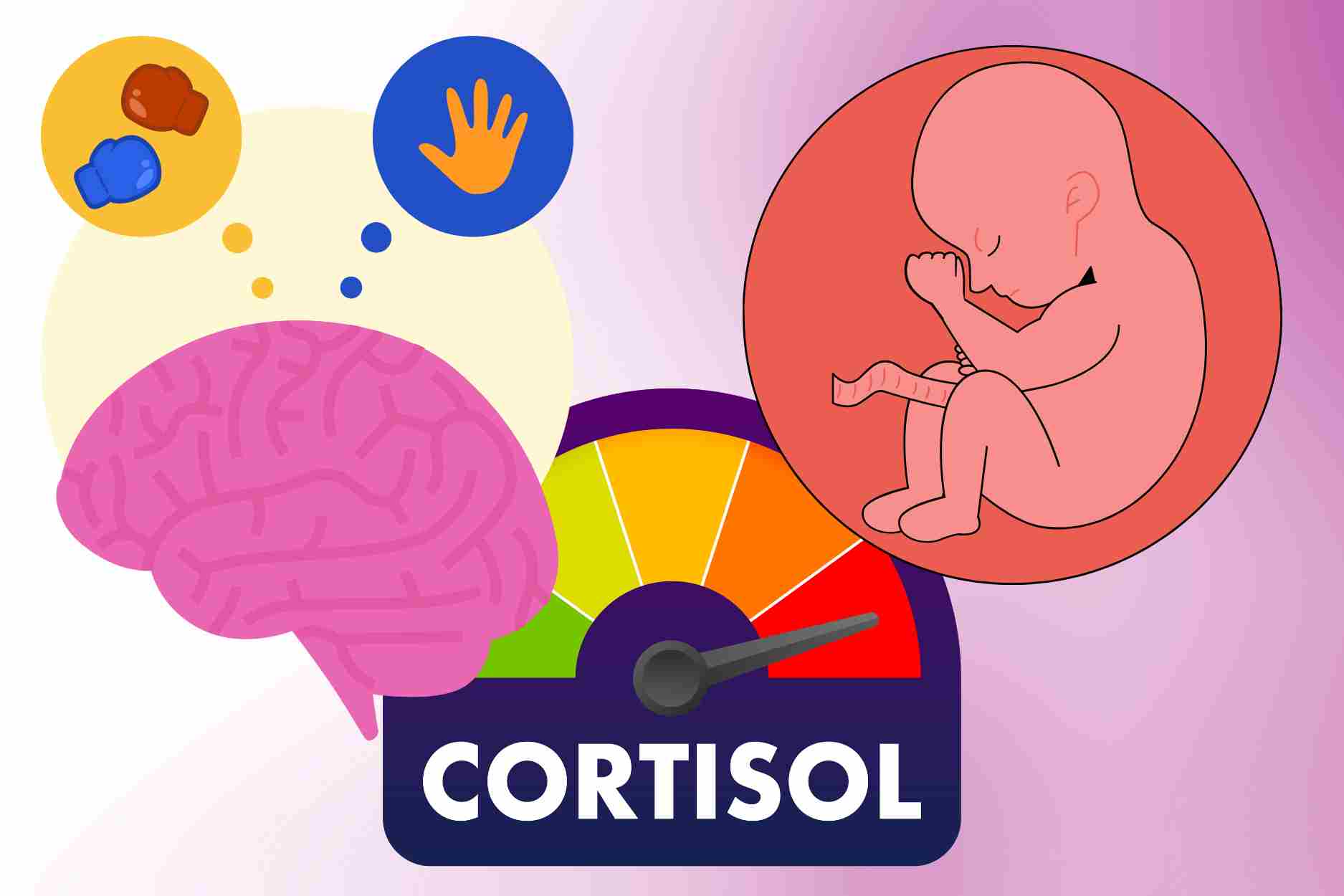 High cortisol levels in winter can affect fertility. Graphics: Thien Nhan