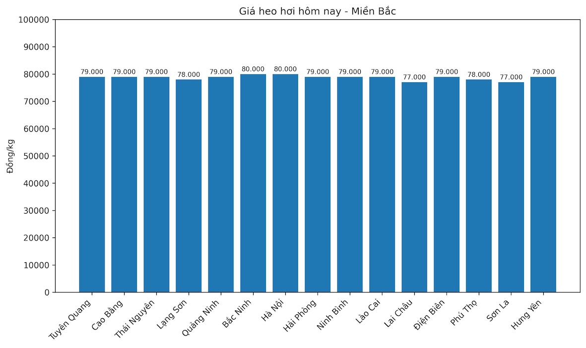 Gia heo hoi hom nay 24.1 tai mien Bac. Do hoa: Thuy Linh.