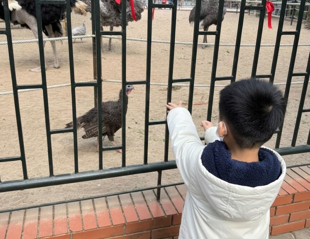 Taking children to visit the zoo will be one of the meaningful activities on weekends. Photo: Linh Chi