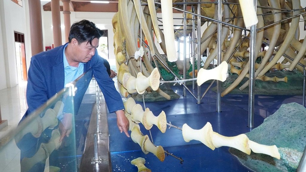 Hai bo xuong duoc phuc dung nam 2020 voi kinh phi hon 14 ti dong bao gom ca nha trung bay. Anh: Vien Nguyen