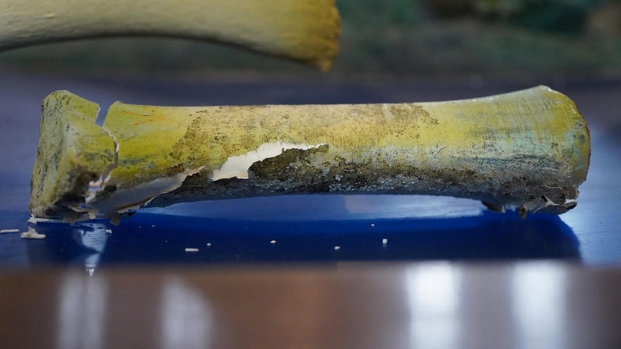 Mot doan xuong bi moc, xuong cap. Anh: Vien Nguyen