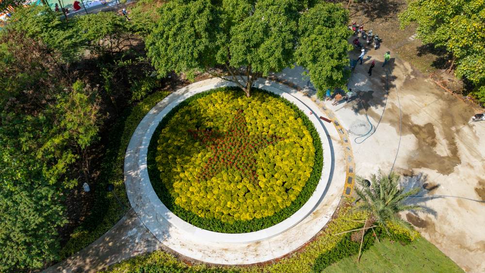 Toan canh su giao thoa an tuong giua cac buc ve graffiti kho lon va tieu canh duoc bai tri cong phu nhin tu tren cao. Ảnh: Anh Tu