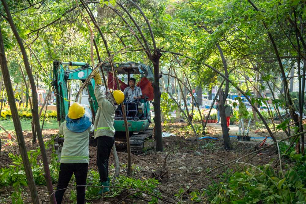   Cong nhan cay xanh tat bat cham soc, cat tia de hoan thien khu “rung sinh thai” giua pho. Ảnh: Thai Bao